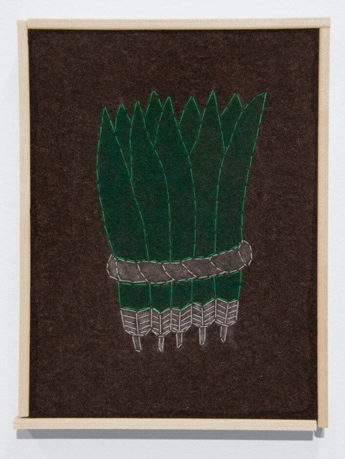 Quetzalli (Plumas Hermosas/Beautiful Feather)