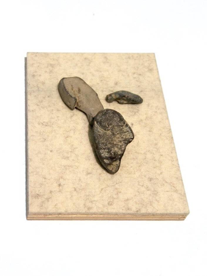 Columbré (Discern)