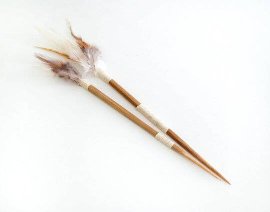 Darts (2)