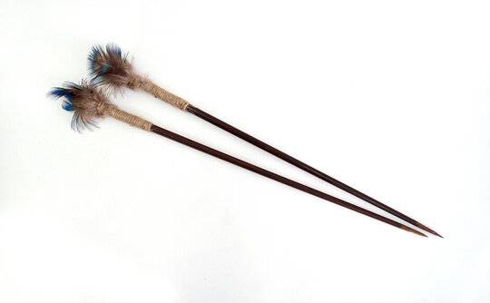 Darts (5)