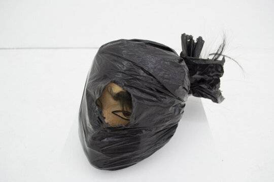 Towkwit Head