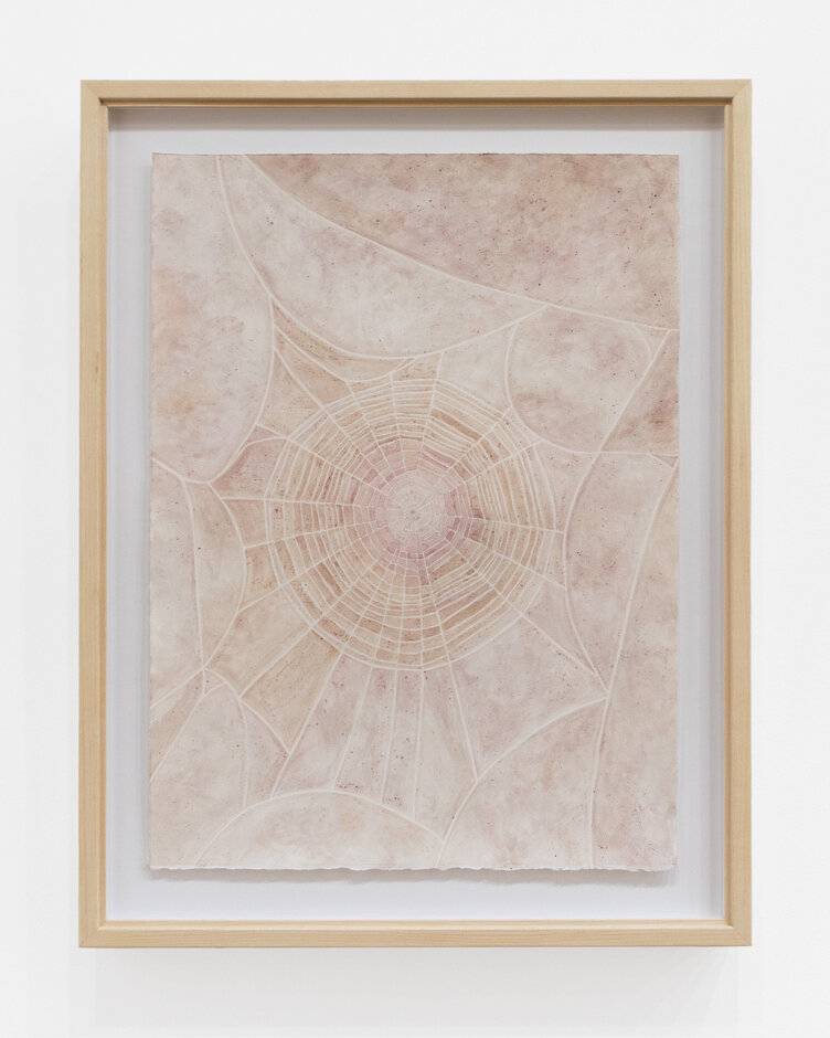 Summer Rose Web