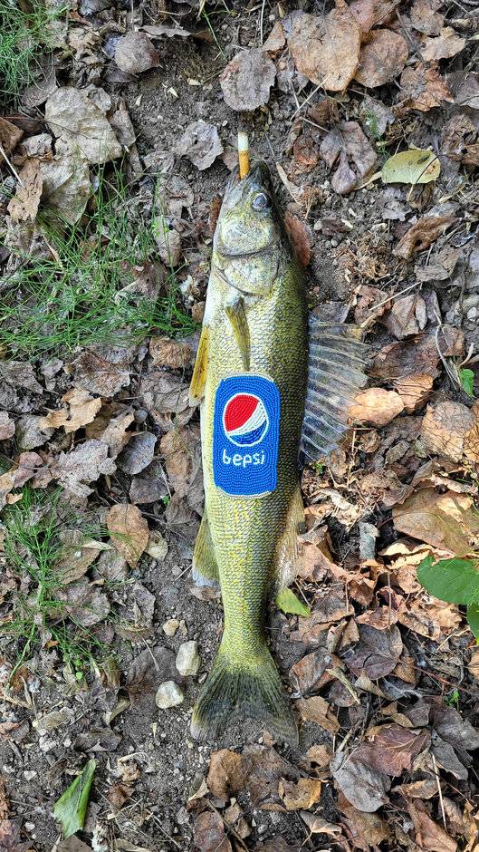 Bepsi