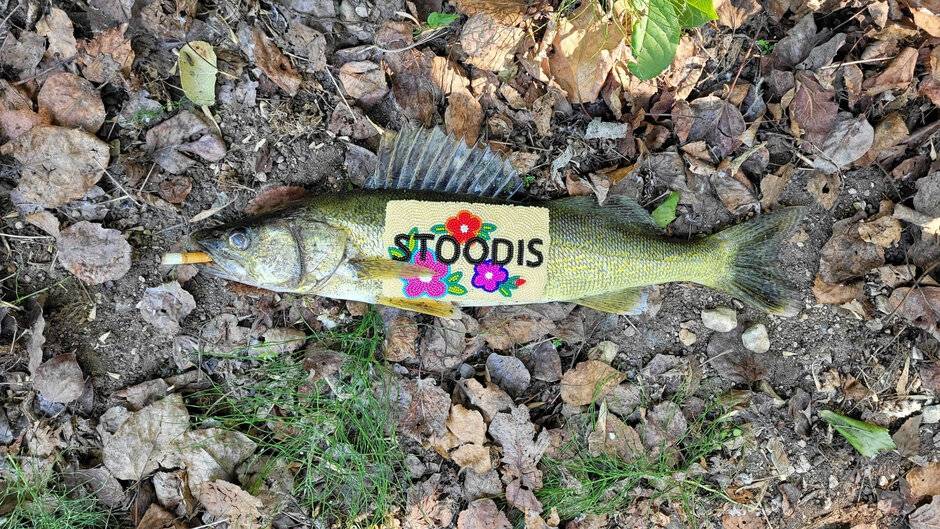 Stoodis