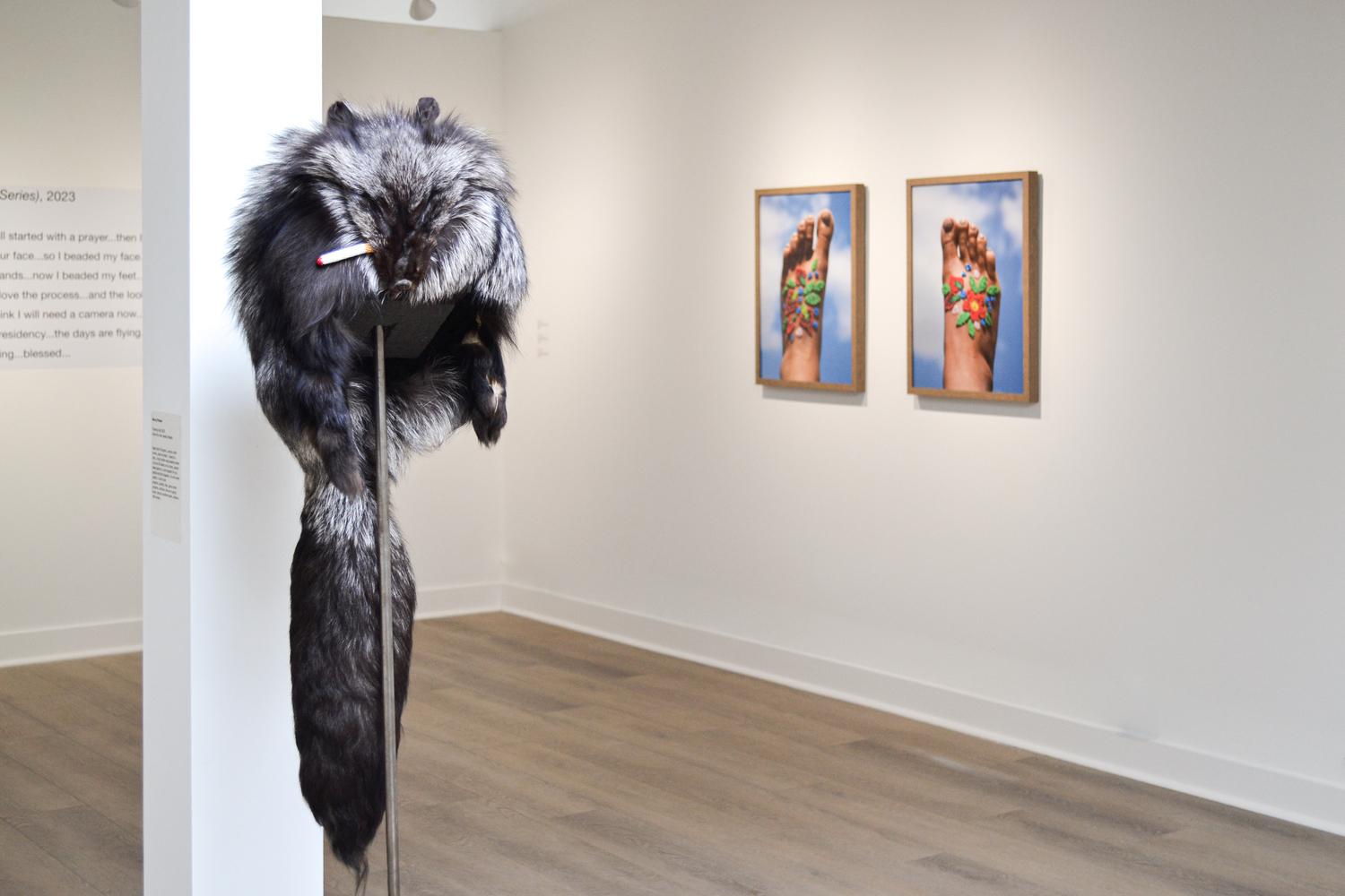 Marcy Friesen: Daydreamer 3